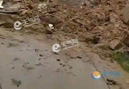 大竹县县道竹周路因降雨致垮塌交通管制(预计开放时间8月30日)