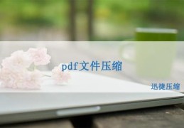 pdf文件太大发送不出去,有什么方法可以将pdf文件压缩变小？