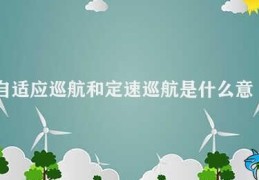 自适应巡航和定速巡航是什么意思(自适应巡航和定速巡航的区别)