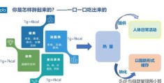 一天吃一块巧克力会长胖吗？(巧克力减肥)