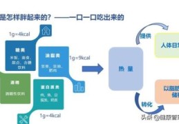 一天吃一块巧克力会长胖吗？(巧克力减肥)