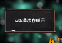 如何打开usb调试？(usb调试在哪开)