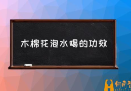 木棉花有什么作用？(木棉花泡水喝的功效)