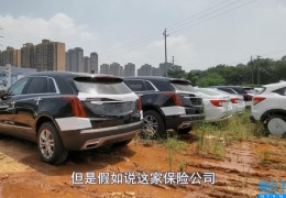 车险怎么买最划算2022多少钱(车险一般买哪几种)