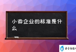 小微企业的标准是什么(小微企业的认定？)