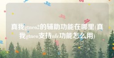 真我gtneo2的辅助功能在哪里(真我gtneo支持nfc功能怎么用)