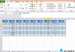 初学者学excel制作表格的具体步骤(如何电脑制作表格教程)