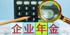 企业年金辞职了可转移或提取吗(辞职后企业年金白费了)