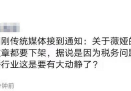 薇娅事件的最新消息(薇娅因税务问题被封杀？)