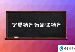 宁夏特产有哪些特产(宁夏特产好吃的?)