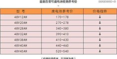 电动车电池的使用寿命与保养方法(电动车电池寿命)