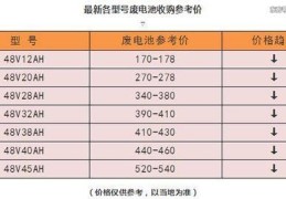 电动车电池的使用寿命与保养方法(电动车电池寿命)