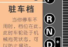 prnd档位什么意思(自动档为什么是PRND这个顺序)