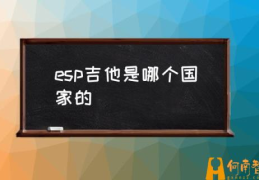 电吉他ESP和PRS哪个更好？(esp吉他是哪个国家的)