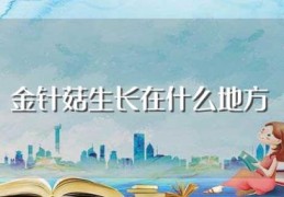 金针菇生长在什么地方(金针菇相关介绍)