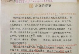 六年级下册语文1课北京的春节笔记（六年级语文下册）