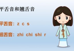 8个平舌音6个翘舌音整体认读音节分别是什么