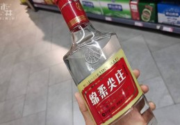 坐动车可以带酒吗（坐火车最多带几瓶酒）