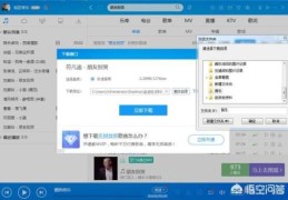 如何把音乐下载到U盘里？(下载歌曲到u盘)