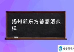 扬州新东方学校好吗？(扬州新东方普高怎么样)