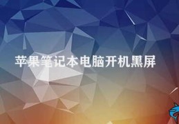 苹果笔记本电脑开机黑屏(解决苹果笔记本电脑开机黑屏的方法)