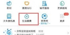 租房怎么网上交水电费(网上怎么交电费)