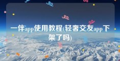 一伴app使用教程(轻奢交友app下架了吗)