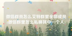 微信群员怎么艾特群里全部成员(微信群里怎么私聊其中一个人)