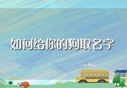 如何给你的狗取名字(怎样给你的狗取名字)