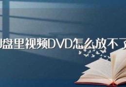 U盘里视频DVD怎么放不了(一起来看看)