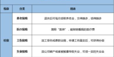 12333社保激活教程(社保就是养老保险吗)