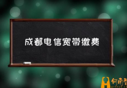 成都安装什么宽带便宜？(成都电信宽带缴费)