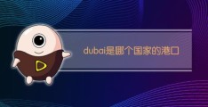 dubai是哪个城市(dubai是哪个国家的)