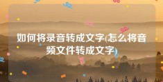 如何将录音转成文字(怎么将音频文件转成文字)