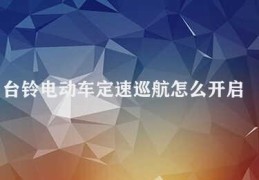 台铃电动车定速巡航怎么开启(如何在台铃电动车上开启定速巡航)