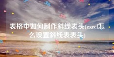 表格中如何制作斜线表头(excel怎么设置斜线表表头)