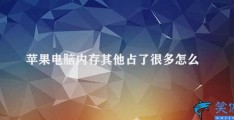 苹果电脑内存其他占了很多怎么清理(苹果电脑内存清理指南)