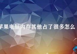 苹果电脑内存其他占了很多怎么清理(苹果电脑内存清理指南)