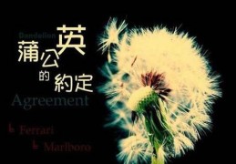 表达了一种怎样的感情(歌曲蒲公英的约定表达什么情感意思)