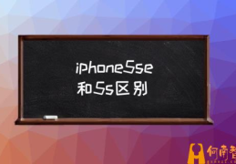 iphone5se有多少内存的？(iphone5se和5s区别)