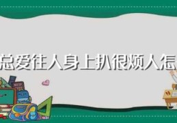 狗狗总爱往人身上扒很烦人怎么办(狗狗总爱往人身上扒的处理方法)