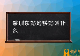 深圳东站地铁站叫什么(深圳东站有几个出站口？)