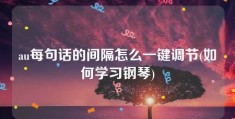 au每句话的间隔怎么一键调节(如何学习钢琴)