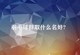 羽毛球群取什么名好?(羽毛球群名称优化)