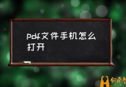 pdf文件打开方式？(pdf文件手机怎么打开)