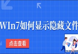 win7怎么查看隐藏的文件(win7显示隐藏文件的两个方法)