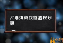 大连湾海底隧道的介绍？(大连湾海底隧道规划图)