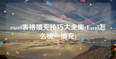 excel表格填充技巧大全集(Excel怎么统一填充)