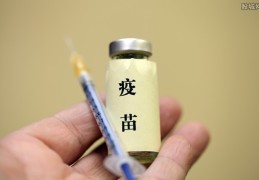 北京生物和北京科兴疫苗一样吗(A省打疫苗B省能查吗)