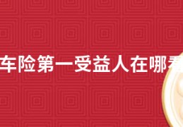 车险第一受益人在哪看